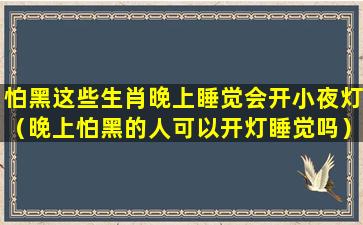 怕黑这些生肖晚上睡觉会开小夜灯（晚上怕黑的人可以开灯睡觉吗）