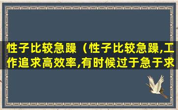 性子比较急躁（性子比较急躁,工作追求高效率,有时候过于急于求成）