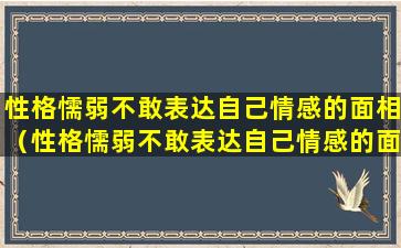 性格懦弱不敢表达自己情感的面相（性格懦弱不敢表达自己情感的面相怎么办）