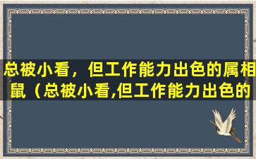 总被小看，但工作能力出色的属相鼠（总被小看,但工作能力出色的属相鼠）