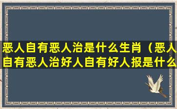 恶人自有恶人治是什么生肖（恶人自有恶人治好人自有好人报是什么生肖）