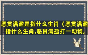 恶贯满盈是指什么生肖（恶贯满盈指什么生肖,恶贯满盈打一动物,正确解释）