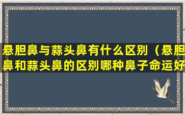 悬胆鼻与蒜头鼻有什么区别（悬胆鼻和蒜头鼻的区别哪种鼻子命运好(图文)）