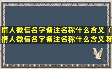 情人微信名字备注名称什么含义（情人微信名字备注名称什么含义呀）