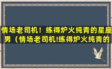 情场老司机！练得炉火纯青的星座男（情场老司机!练得炉火纯青的星座男）