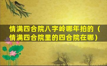 情满四合院八字岭哪年拍的（情满四合院里的四合院在哪）