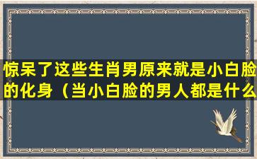 惊呆了这些生肖男原来就是小白脸的化身（当小白脸的男人都是什么性格）