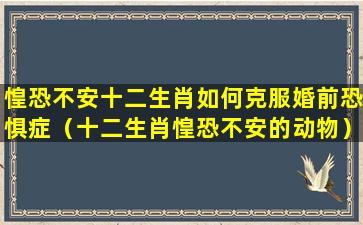 惶恐不安十二生肖如何克服婚前恐惧症（十二生肖惶恐不安的动物）