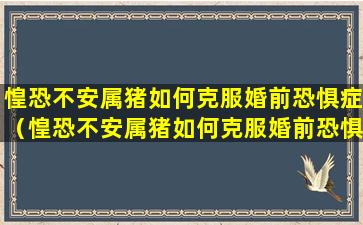 惶恐不安属猪如何克服婚前恐惧症（惶恐不安属猪如何克服婚前恐惧症呢）