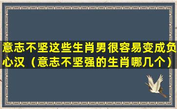 意志不坚这些生肖男很容易变成负心汉（意志不坚强的生肖哪几个）