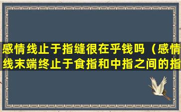 感情线止于指缝很在乎钱吗（感情线末端终止于食指和中指之间的指缝）