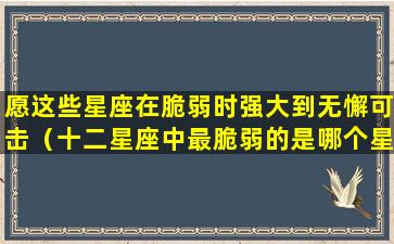 愿这些星座在脆弱时强大到无懈可击（十二星座中最脆弱的是哪个星座）