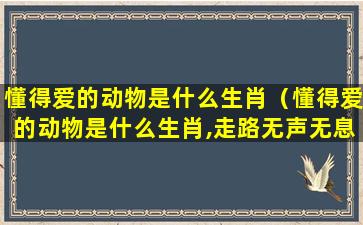 懂得爱的动物是什么生肖（懂得爱的动物是什么生肖,走路无声无息的）