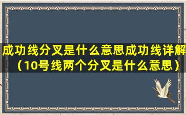 成功线分叉是什么意思成功线详解（10号线两个分叉是什么意思）