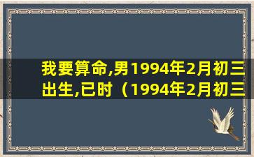 我要算命,男1994年2月初三出生,已时（1994年2月初三出生的人是什么命）