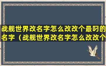 战舰世界改名字怎么改改个最叼的名字（战舰世界改名字怎么改改个最叼的名字呢）