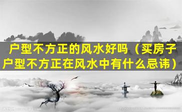 户型不方正的风水好吗（买房子户型不方正在风水中有什么忌讳）