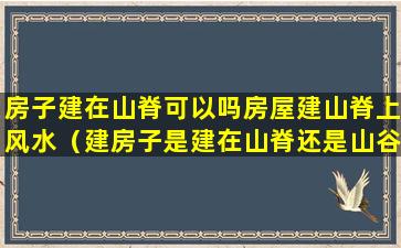 房子建在山脊可以吗房屋建山脊上风水（建房子是建在山脊还是山谷）