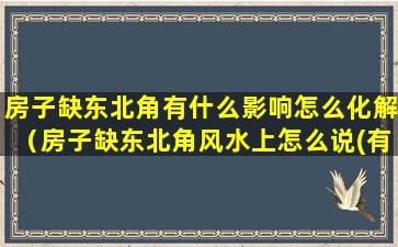 房子缺东北角有什么影响怎么化解（房子缺东北角风水上怎么说(有具体化解方法)）