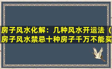 房子风水化解：几种风水开运法（房子风水禁忌十种房子千万不能买）