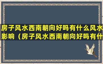 房子风水西南朝向好吗有什么风水影响（房子风水西南朝向好吗有什么风水影响吗）