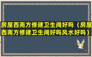 房屋西南方修建卫生间好吗（房屋西南方修建卫生间好吗风水好吗）