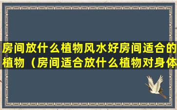 房间放什么植物风水好房间适合的植物（房间适合放什么植物对身体好图）