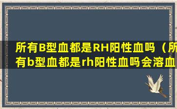 所有B型血都是RH阳性血吗（所有b型血都是rh阳性血吗会溶血吗）