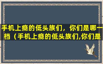 手机上瘾的低头族们，你们是哪一档（手机上瘾的低头族们,你们是哪一档）