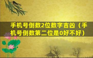 手机号倒数2位数字吉凶（手机号倒数第二位是0好不好）