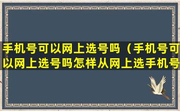 手机号可以网上选号吗（手机号可以网上选号吗怎样从网上选手机号）