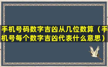 手机号码数字吉凶从几位数算（手机号每个数字吉凶代表什么意思）