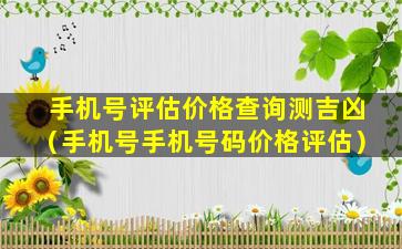 手机号评估价格查询测吉凶（手机号手机号码价格评估）