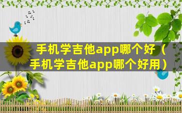 手机学吉他app哪个好（手机学吉他app哪个好用）