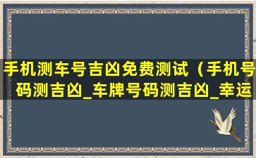 手机测车号吉凶免费测试（手机号码测吉凶_车牌号码测吉凶_幸运数字查询）