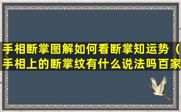 手相断掌图解如何看断掌知运势（手相上的断掌纹有什么说法吗百家号）