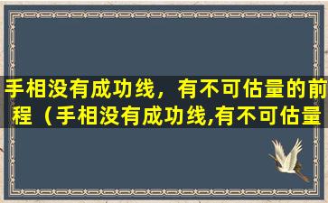 手相没有成功线，有不可估量的前程（手相没有成功线,有不可估量的前程）