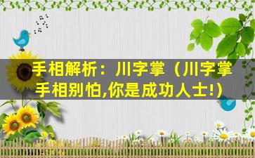 手相解析：川字掌（川字掌手相别怕,你是成功人士!）