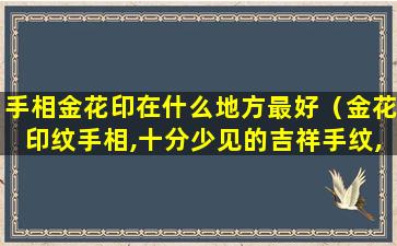 手相金花印在什么地方最好（金花印纹手相,十分少见的吉祥手纹,注定一生钱财不缺）