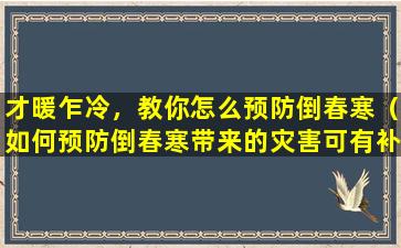 才暖乍冷，教你怎么预防倒春寒（如何预防倒春寒带来的灾害可有补救措施）