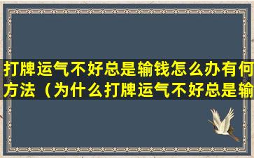 打牌运气不好总是输钱怎么办有何方法（为什么打牌运气不好总是输钱,怎么转运）