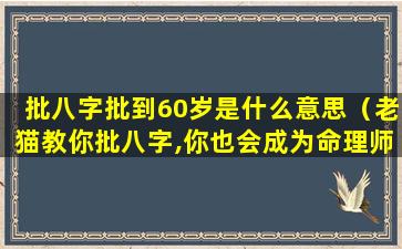 批八字批到60岁是什么意思（老猫教你批八字,你也会成为命理师）