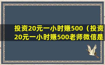 投资20元一小时赚500（投资20元一小时赚500老师微信是真的吗）