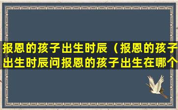 报恩的孩子出生时辰（报恩的孩子出生时辰问报恩的孩子出生在哪个时辰）