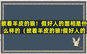 披着羊皮的狼！假好人的面相是什么样的（披着羊皮的狼!假好人的面相是什么样的）