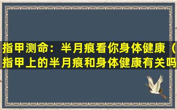 指甲测命：半月痕看你身体健康（指甲上的半月痕和身体健康有关吗）