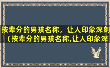 按辈分的男孩名称，让人印象深刻（按辈分的男孩名称,让人印象深刻的是）