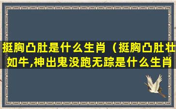 挺胸凸肚是什么生肖（挺胸凸肚壮如牛,神出鬼没跑无踪是什么生肖）