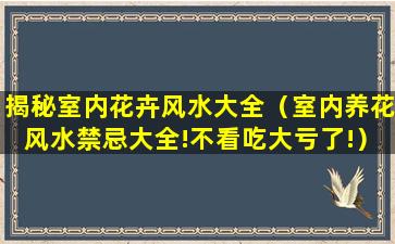 揭秘室内花卉风水大全（室内养花风水禁忌大全!不看吃大亏了!）