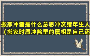 搬家冲猪是什么意思冲亥猪年生人（搬家时辰冲煞里的属相是自己还是别人）